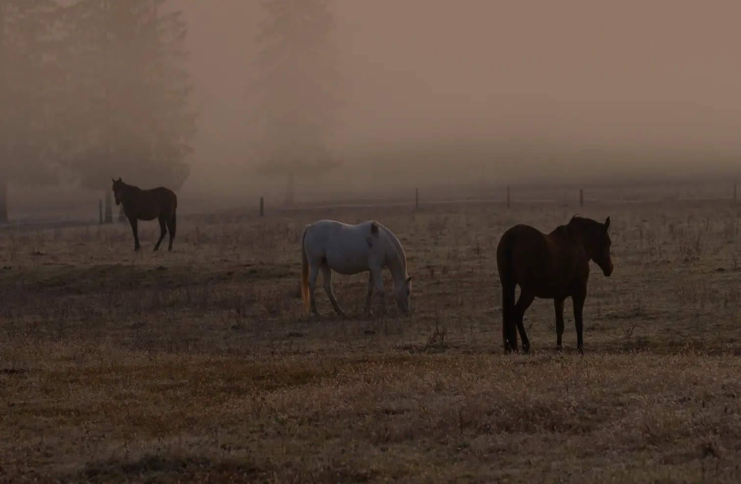 Comunidad en Chablé Yucatán