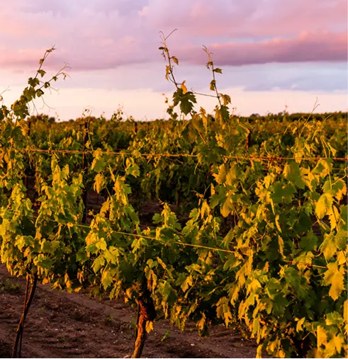 Interior de una casita
