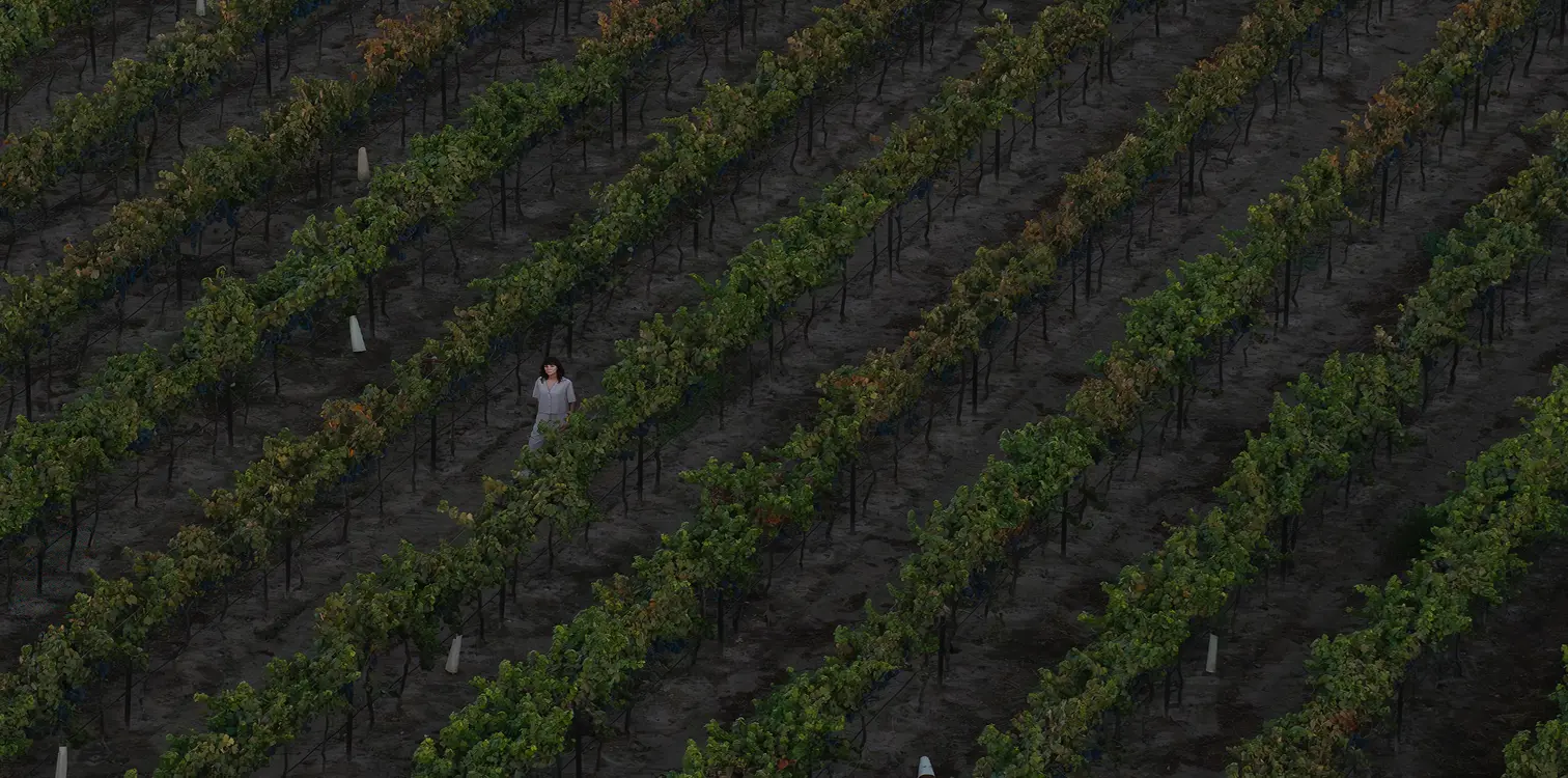 Chablé Valle de Guadalupe